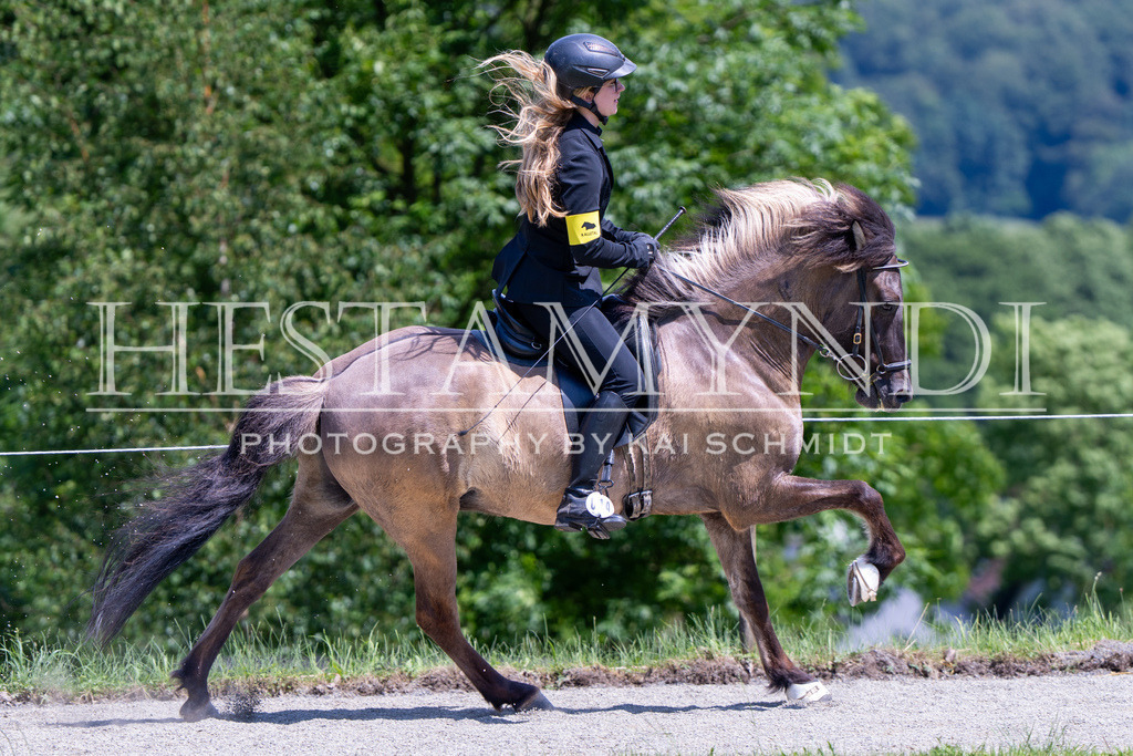 KAI02989 | Ihr sucht einen Fotografen für eure nächste OSI? Ich begleite auch euer Turnier für Islandpferde fotografisch.  - Realisiert mit Pictrs.com