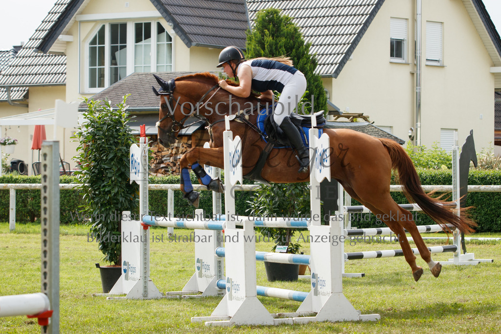 IMG_2913 | P. Berger Fotografie - Realisiert mit Pictrs.com