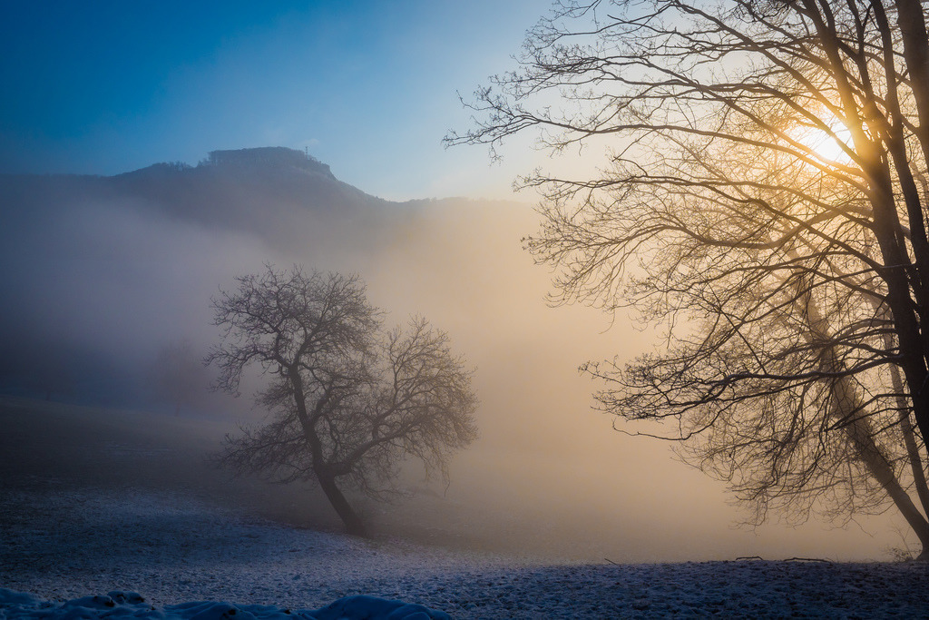 Winter bei der Ruine Dorneck | Schöne Fotografien aus der Stadt und der Natur zum bestellen oder selber hochladen. Druck auf Foto, Postkarte, Kalender, FineArt Hahnemühle, Alu-Dibond , Akustikbilder zur Absorption von Schall und Lärm etc. - Realisiert mit Pictrs.com