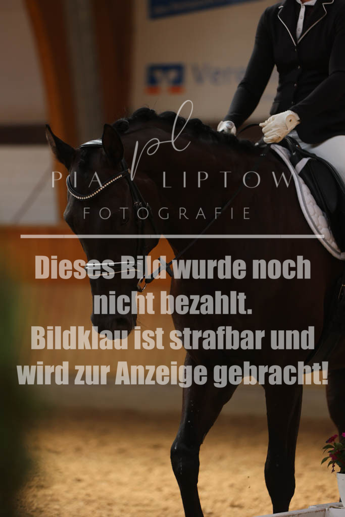 IMGS0742 | pl-fotografie