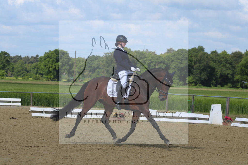 IMG_2592 | jessicahollubetz_pferdephotographie - Realisiert mit Pictrs.com