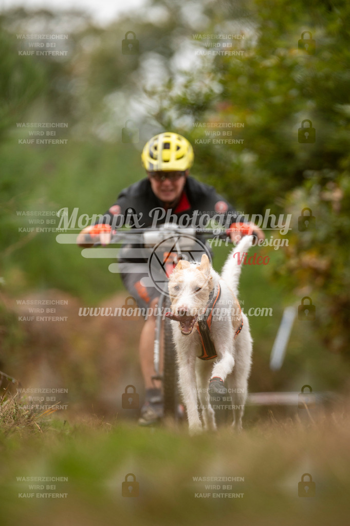 TSB_2023_E5_DS1-31 | PayLife