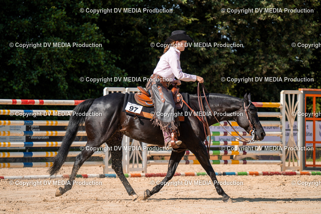 ZH100730 | dv-media-shop - Realisiert mit Pictrs.com