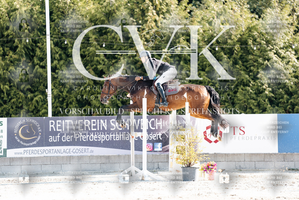 CK902046 | Turnierfotografie Pferdefotografie Trier Rheinland-Pfalz Pferdesport Reitsport Tierfotografie Sportfotografie Pferdevideo Pferdevideografie Equestrianvideography equestrianphotography  - Realisiert mit Pictrs.com