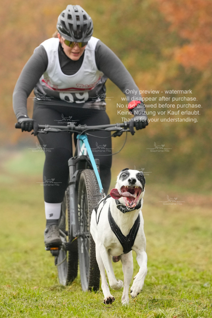 AusschnitteSa-121 | stephaniefillaphotographie - Realisiert mit Pictrs.com