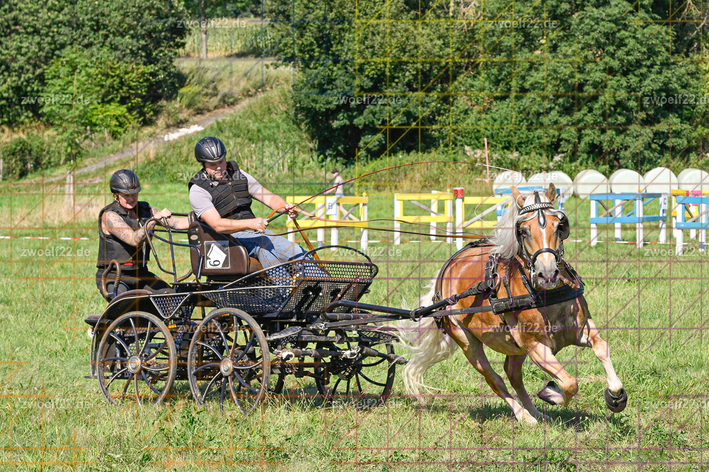 30 Jahre RFV Pulsnitz e.V., Pulsnitz am 09.08.2026 | 30Jahre Reit- und Fahrverein Pulsnitz e.V., Pulsnitz am 08.08.2026Zur 28. breitensportlichen Veranstaltung des RFV Pulsnitz e.V. fanden verschiedene Wettbewerbe in nahezu allen Disziplinen des Pferdesport statt.- Geländefahr-Wettbewerb - Realisiert mit Pictrs.com