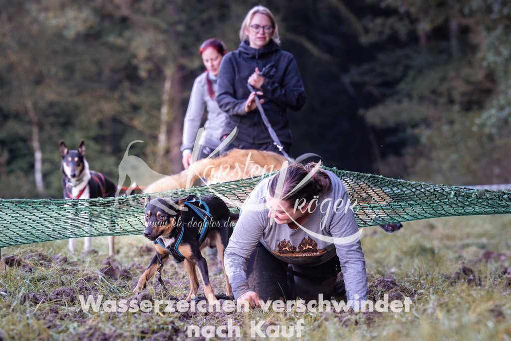 0858_ZZ91318 | kk-dogfotos