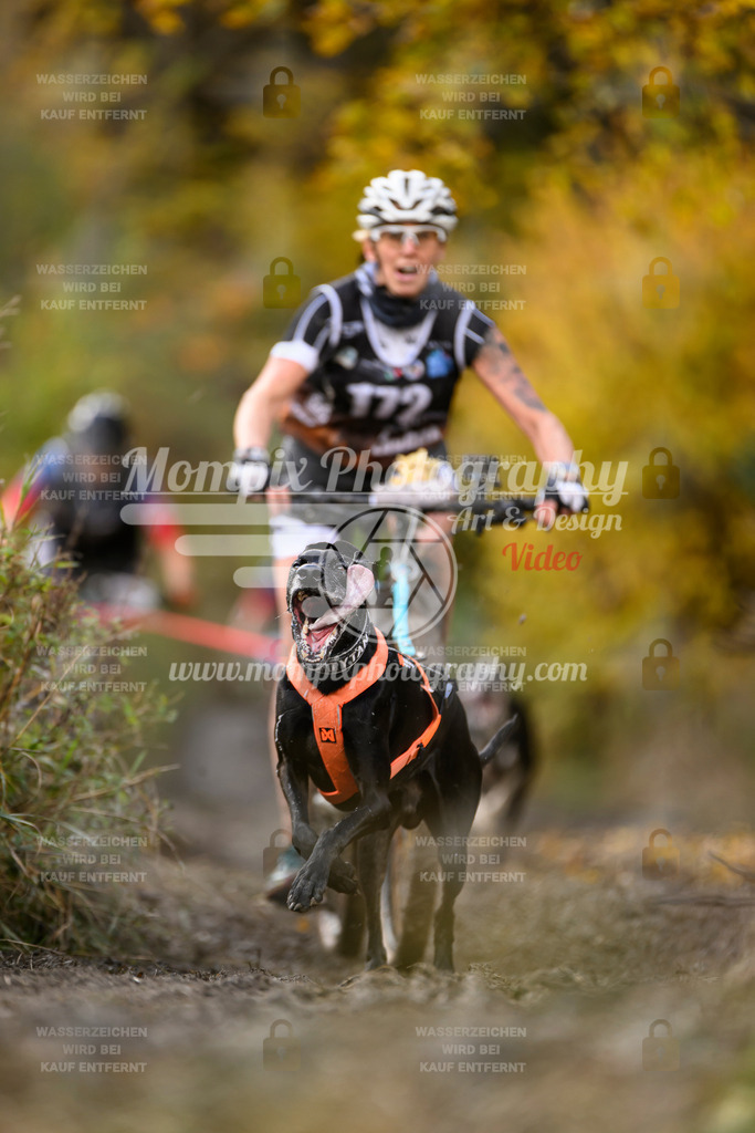 MompixPhotography_ICF_WC_2024_SA_Bike_-245 | PayLife