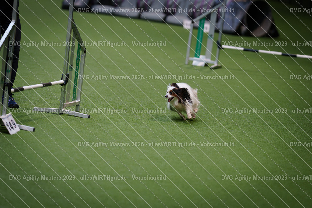 allesWIRTHgut_Tierfotografie-DVG_Agility_Masters_2026-08_42-7R501236 | Professionelle Tierfotografie in Mönchengladbach von Daniel Wirth (allesWIRTHgut). Liebevolle & natürliche Bilder von Hunden & Katzen für unvergessliche Erinnerungen.