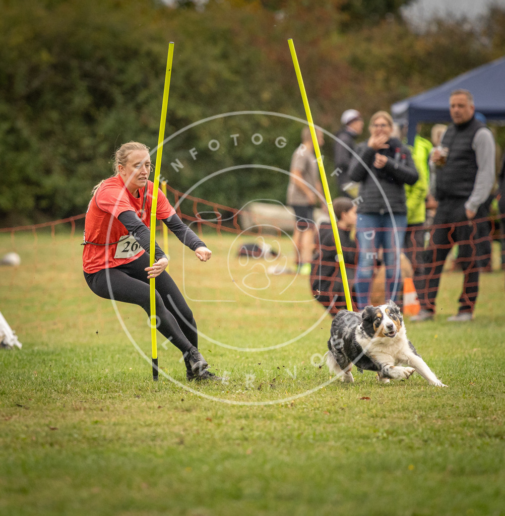 Pfotenfotografie_DV3A7500 | Hundefotografie, Tierfotograf, Pfotenfotografie, Fotoshooting Hund, Hunde Portrait, Hundesport, Hundeportraits, Heideshooting, Hunde, Sportfotograf, Hundefotograf, Turnierhundsport, THS,  - Realisiert mit Pictrs.com