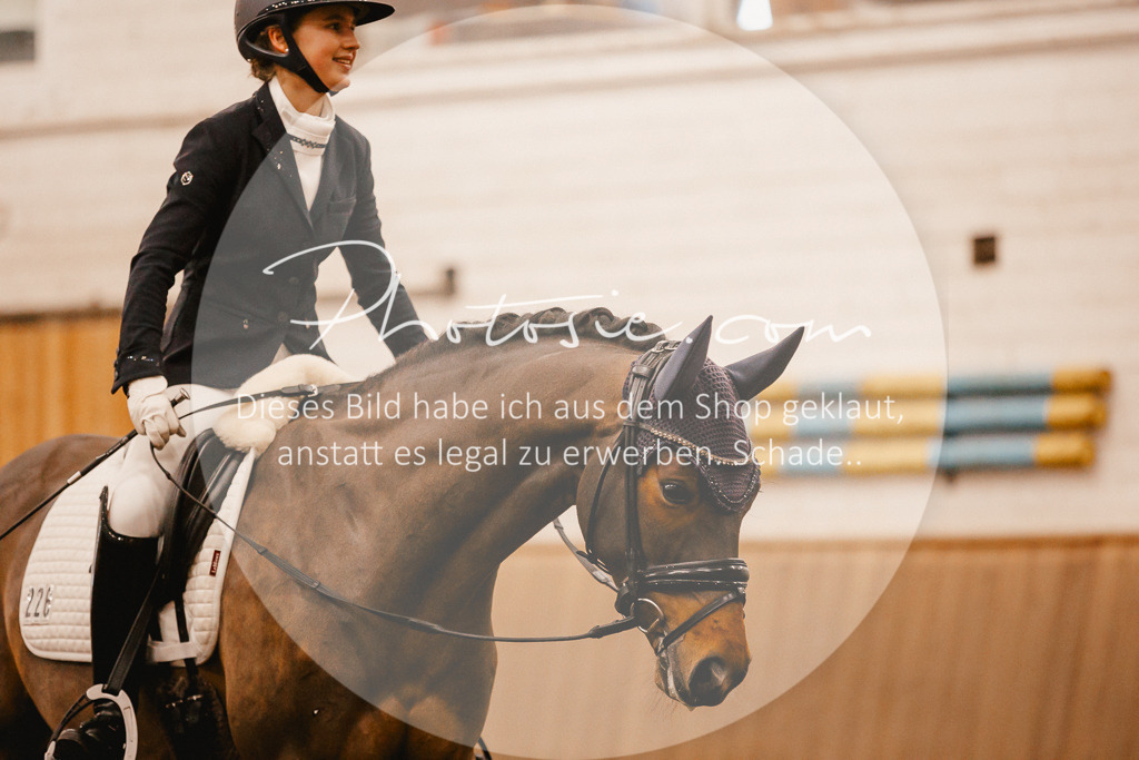 3I6A5946 | Stimmungsvolle Portraits und Reitsportfotografie im Ruhrgebiet und im Münsterland.

Pferdefotografie, Hundefotografie, Tierfotografie, Reportagen, Portraits von Tier und Mensch, Turnierfotografie in Bochum, Recklinghausen, Marl, Haltern am See, Dülmen.. - Realisiert mit Pictrs.com