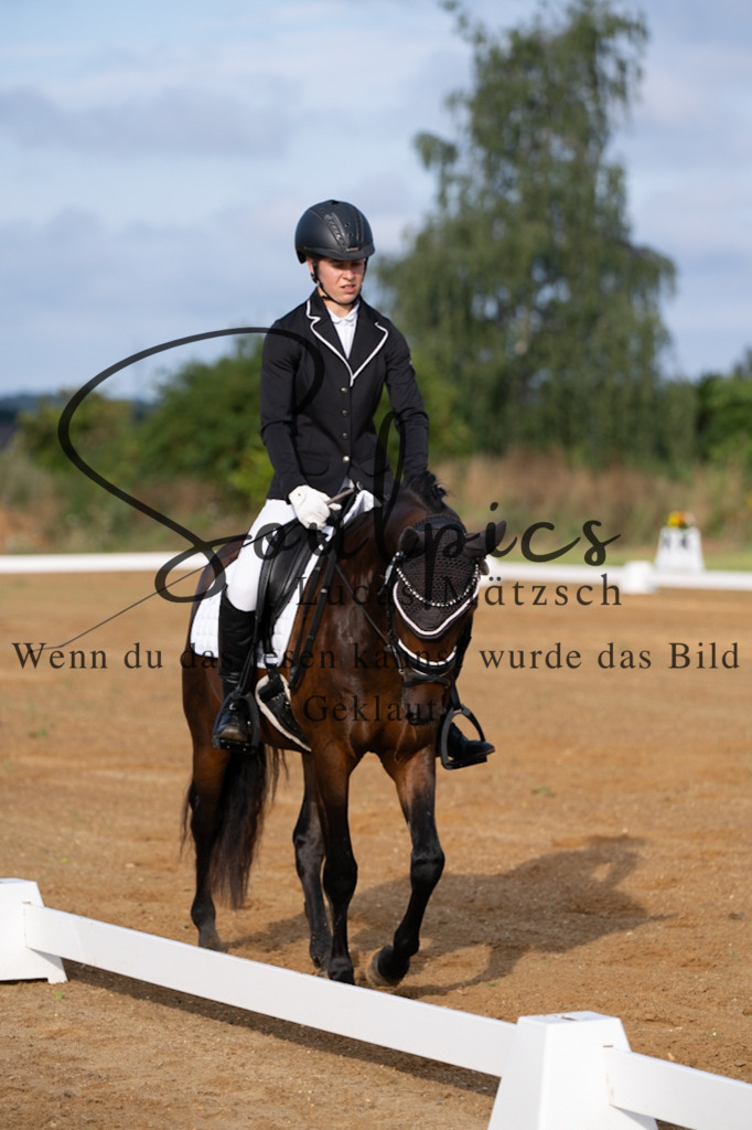 A7V03689 | Turnier/Reitfotograf