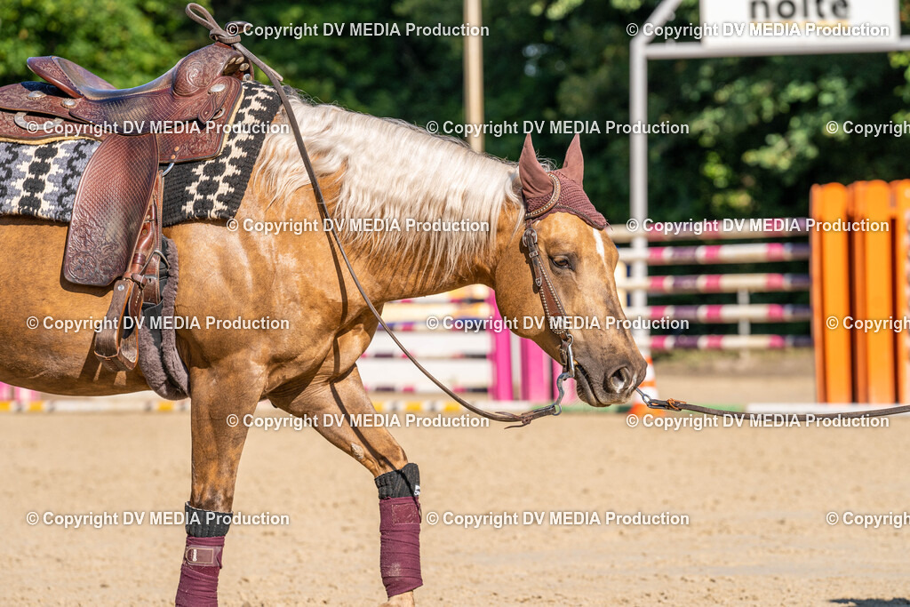 Zeiskam Tag 2-244 | dv-media-shop - Realisiert mit Pictrs.com