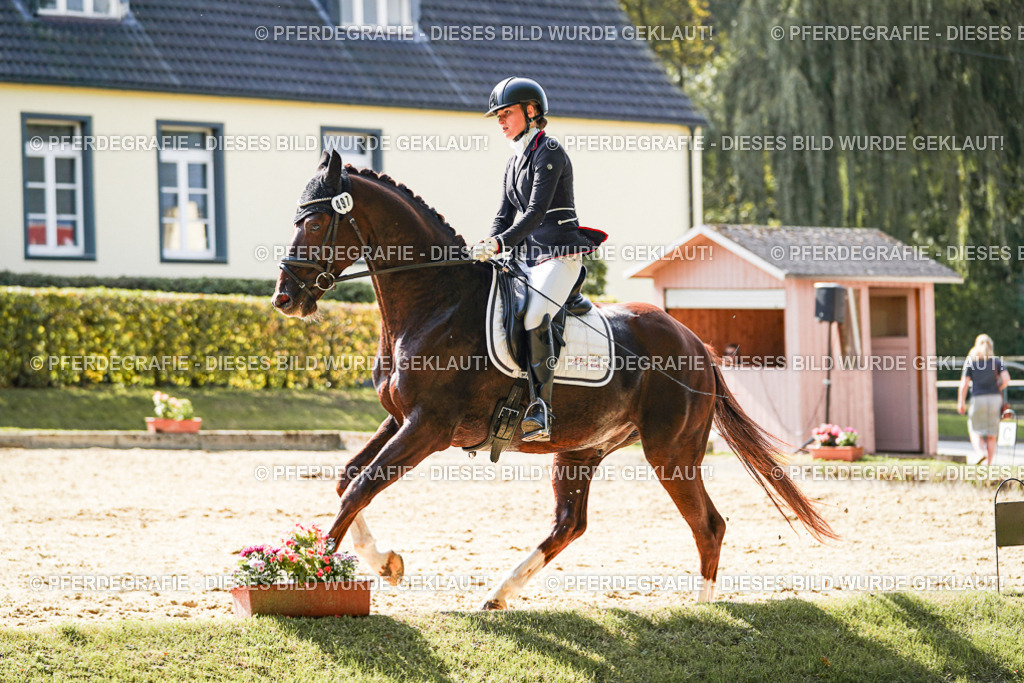 DSC08186 | Pferdegrafie