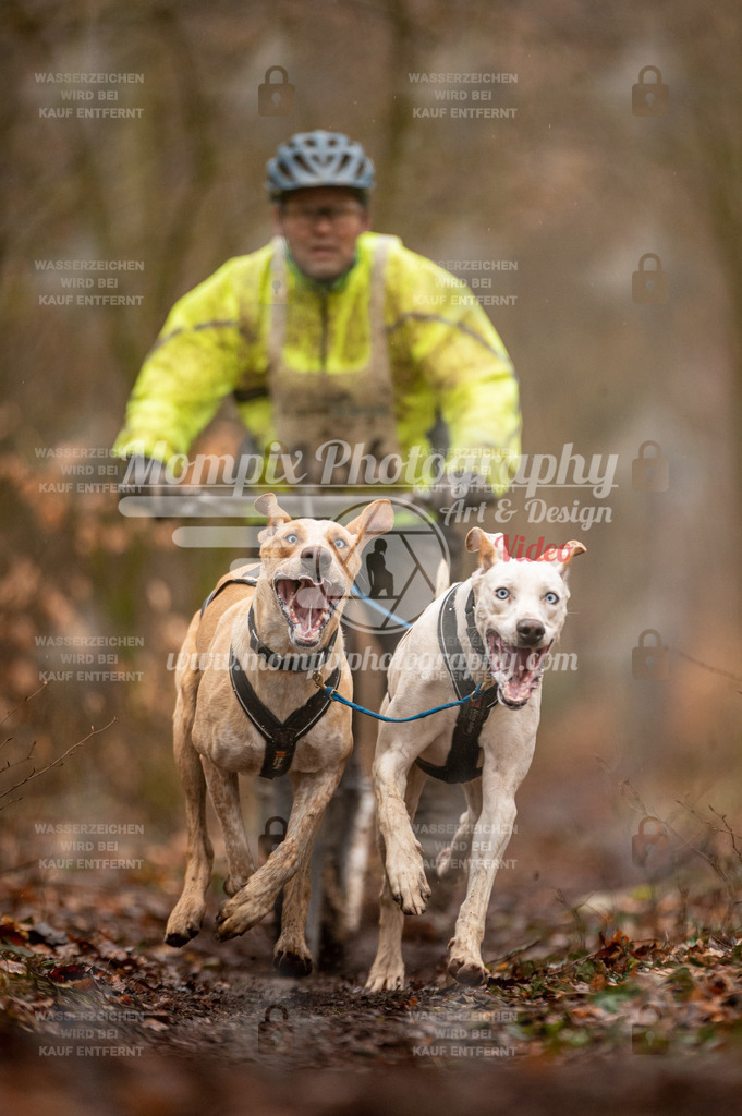 Reiat2023_SON_DS2_5km_2H-34 | PayLife