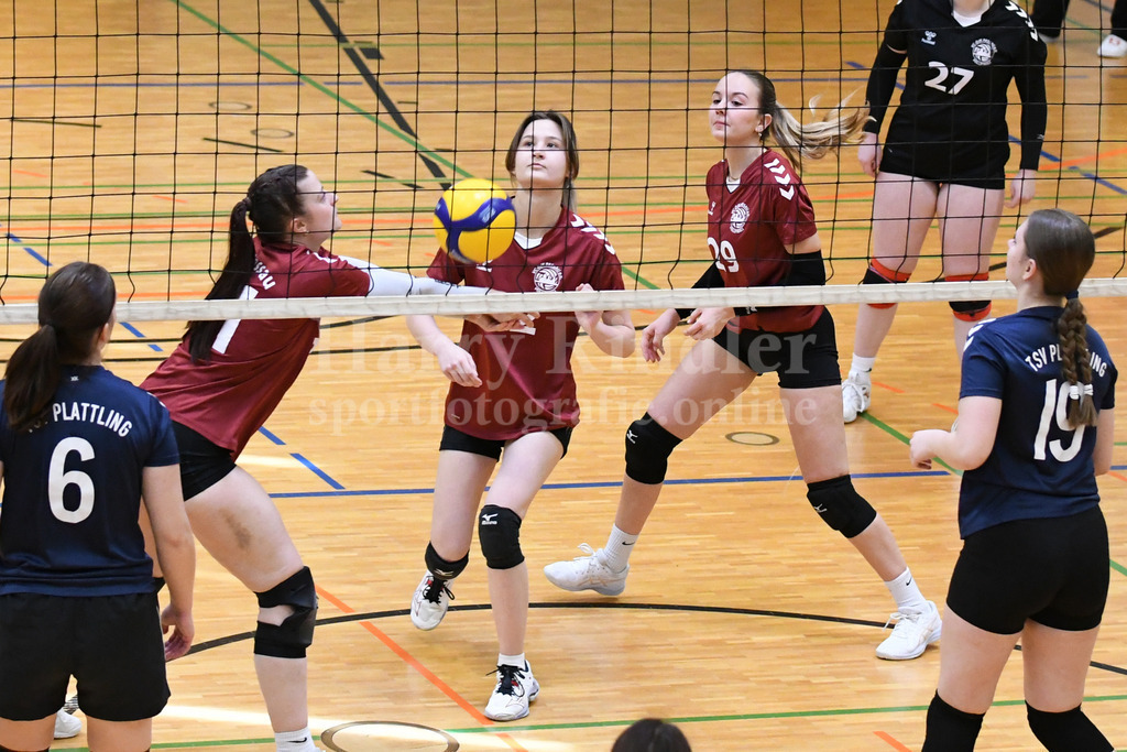 TSV Plattling Volleyball : VSG Passau/Fürstenzell | TSV Plattling IsarVolleys Damen - Realisiert mit Pictrs.com