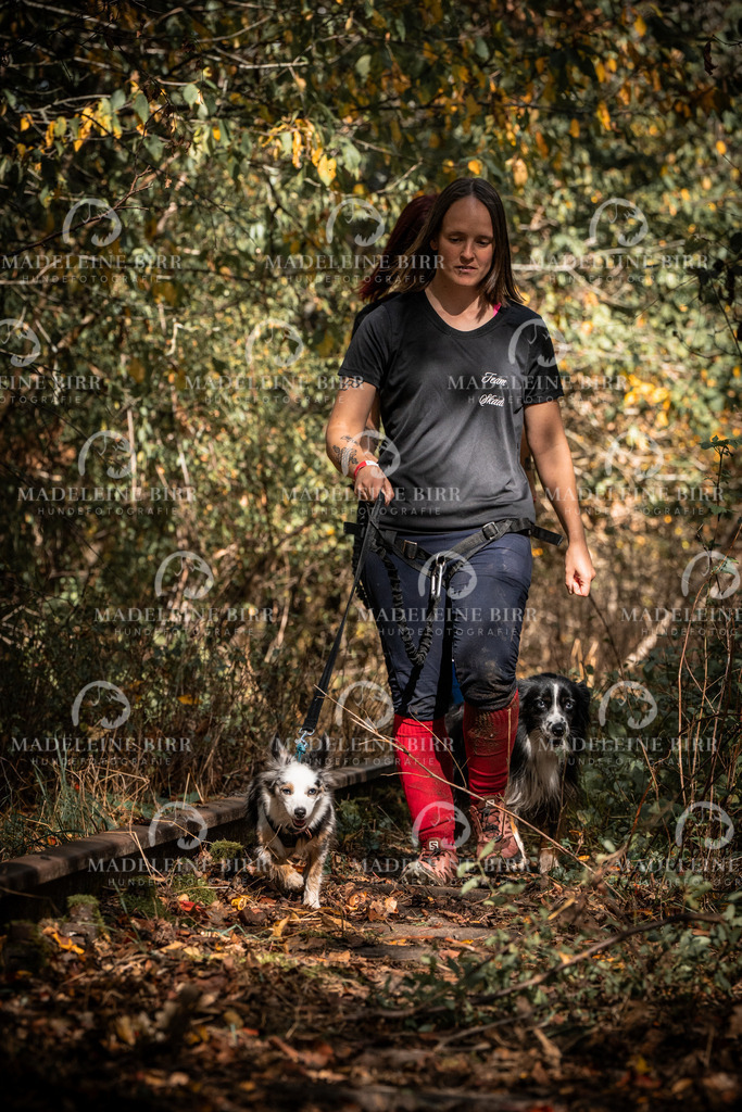 madeleinebirr.fotografie.2026.cc.hunsrueck.12-13Uhr.322 | hundefotografie-birr