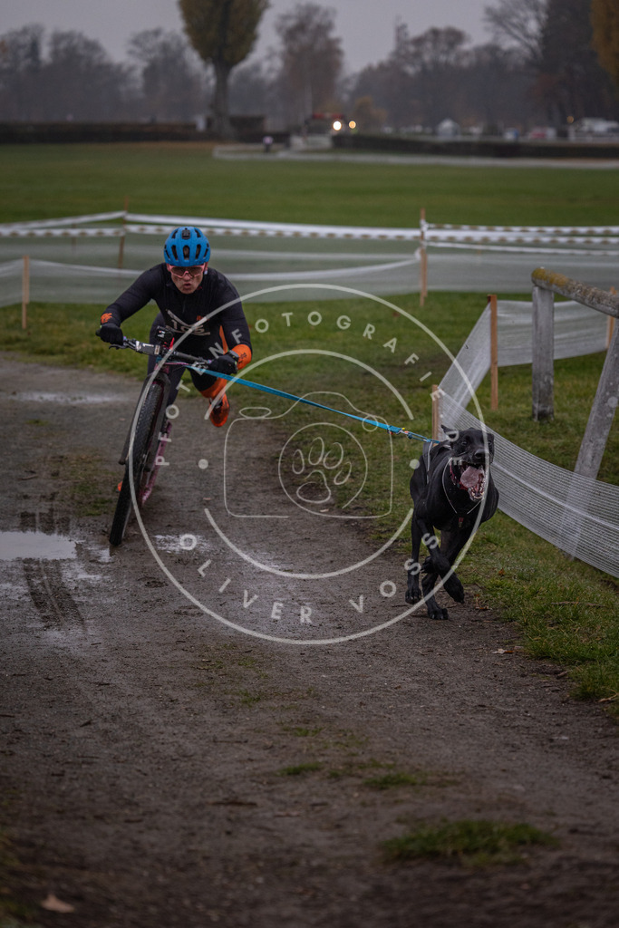 CaniXpix_0L8A0184 | Hundefotografie, Tierfotograf, Pfotenfotografie, Fotoshooting Hund, Hunde Portrait, Hundesport, Hundeportraits, Heideshooting, Hunde, Sportfotograf, Hundefotograf, Turnierhundsport, THS,  - Realisiert mit Pictrs.com