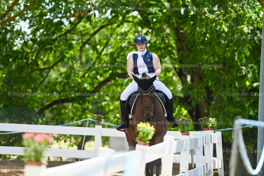 20230715_05_Dressurprüfung Kl.A++_0435 | equistock