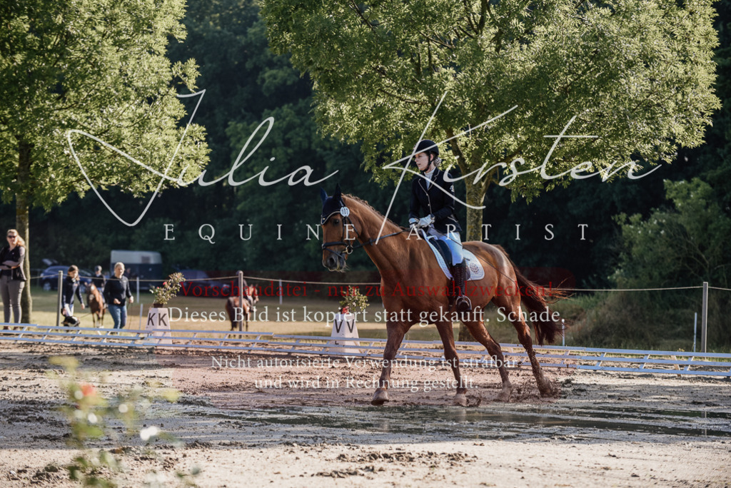 DSC_7717 | Pferde- und Turnierfotografie in Westsachsen. Pferdeportraits, Auftragszeichnungen und intuitive Kunst.