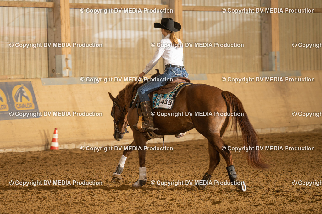 LAU00313 | dv-media-shop - Realisiert mit Pictrs.com