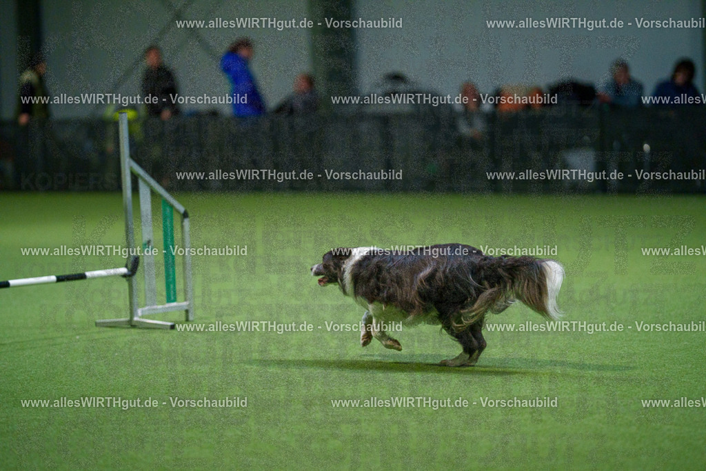7R500274 | Professionelle Tierfotografie in Mönchengladbach von Daniel Wirth (allesWIRTHgut). Liebevolle & natürliche Bilder von Hunden & Katzen für unvergessliche Erinnerungen.