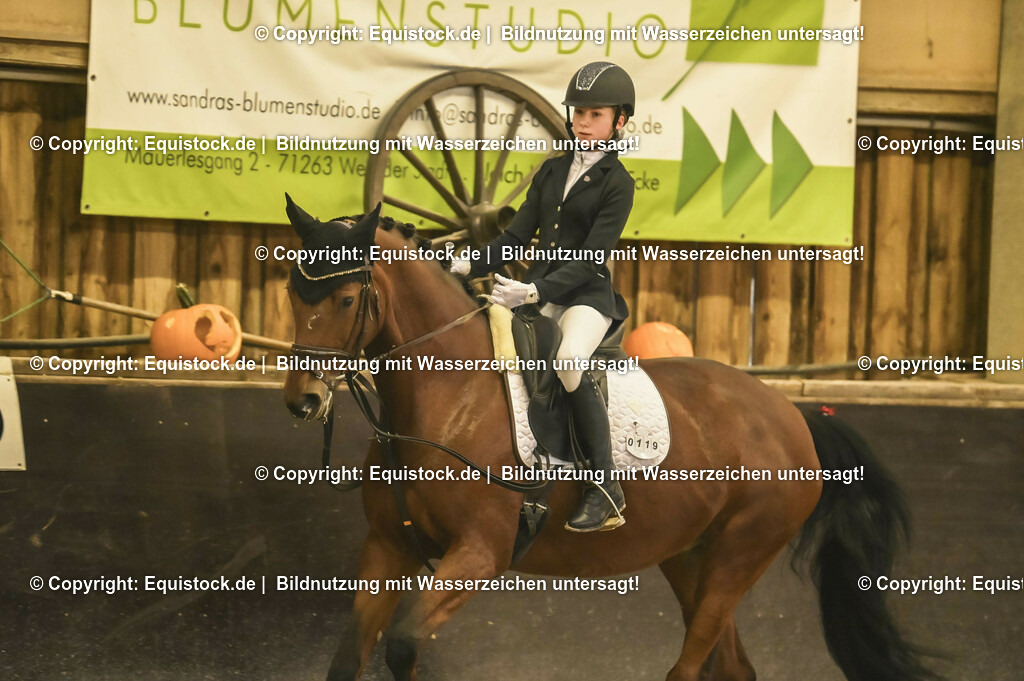 20231029_04_Dressur-WB_0031 | Foto: Thomas Hartig
