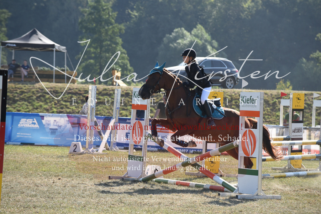 DSC_6060 | Pferde- und Turnierfotografie in Westsachsen. Pferdeportraits, Auftragszeichnungen und intuitive Kunst.