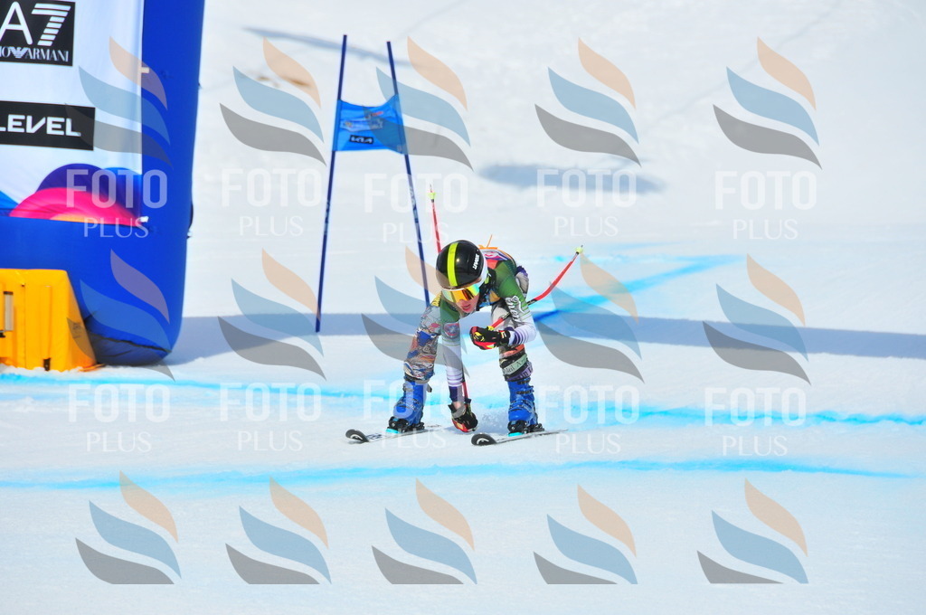 DSC_5983 | holidayphoto