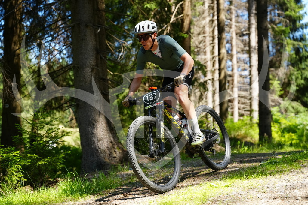 FC101477 | Fotogalerie der Treibjagd im Dunkelwald - Dein MTB Etappenrennen im Erzgebirge - Realisiert mit Pictrs.com
