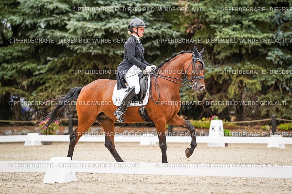 DSC07277 | Pferdegrafie