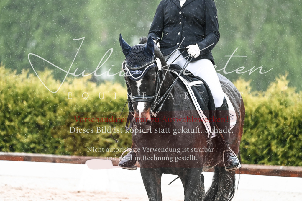 DSC_4660 | Pferde- und Turnierfotografie in Westsachsen. Pferdeportraits, Auftragszeichnungen und intuitive Kunst.