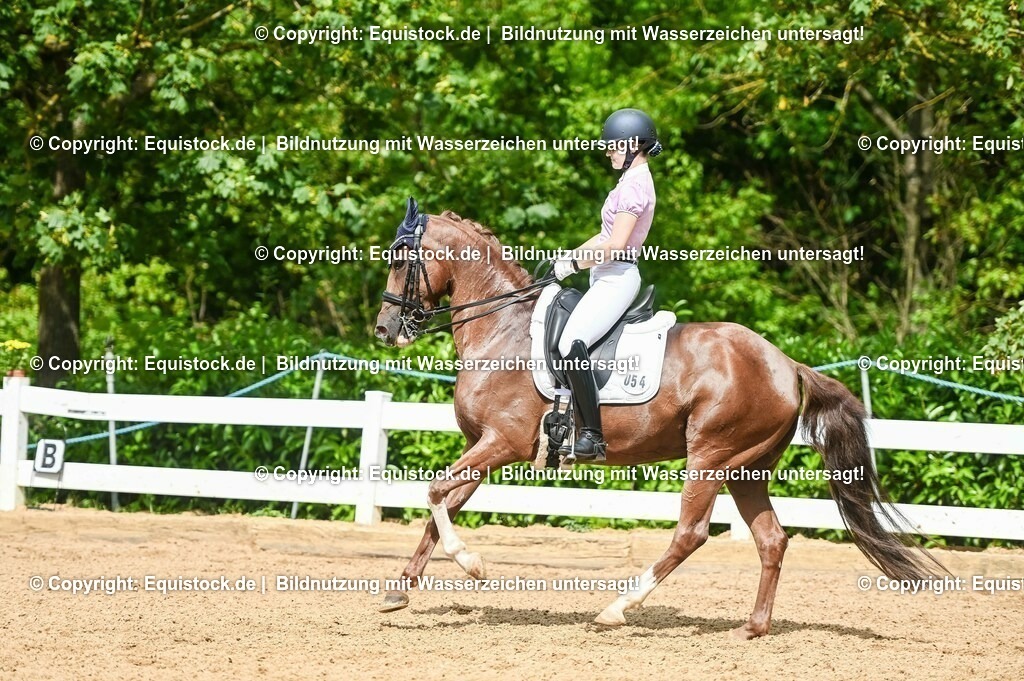 20230716_01_Dressurprüfung Kl.M_0387 | equistock