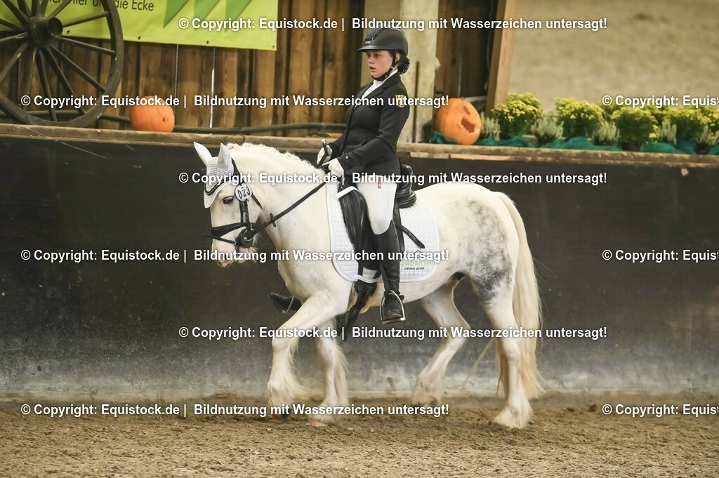 01_Dressur_A_Finale-Volksbank-Championat_0102 | Foto: Thomas Hartig