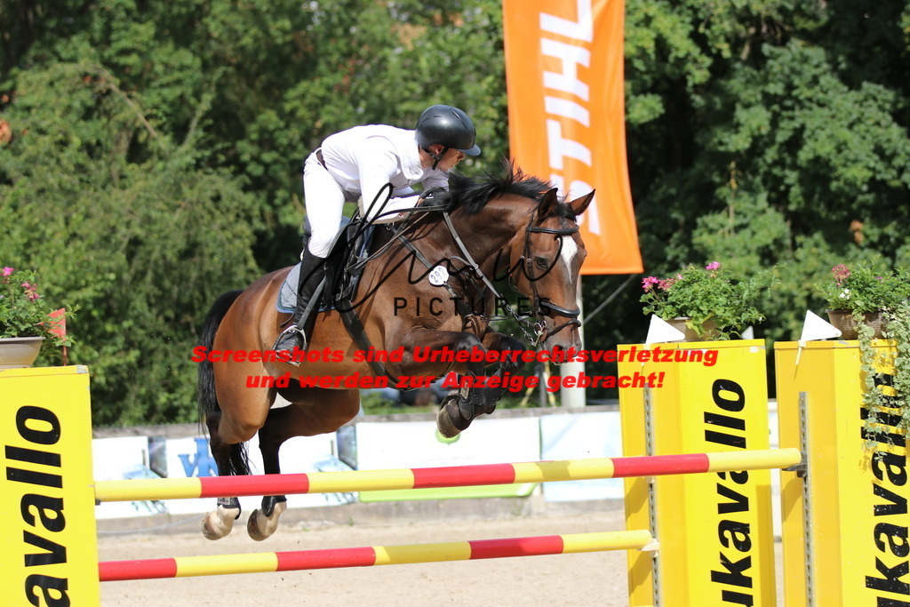 IMG_0786 | lmwpictures - Realisiert mit Pictrs.com