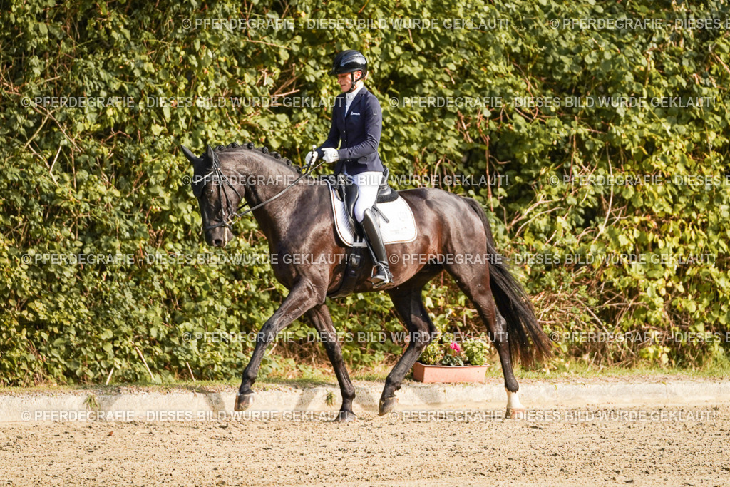 DSC04722 | Pferdegrafie