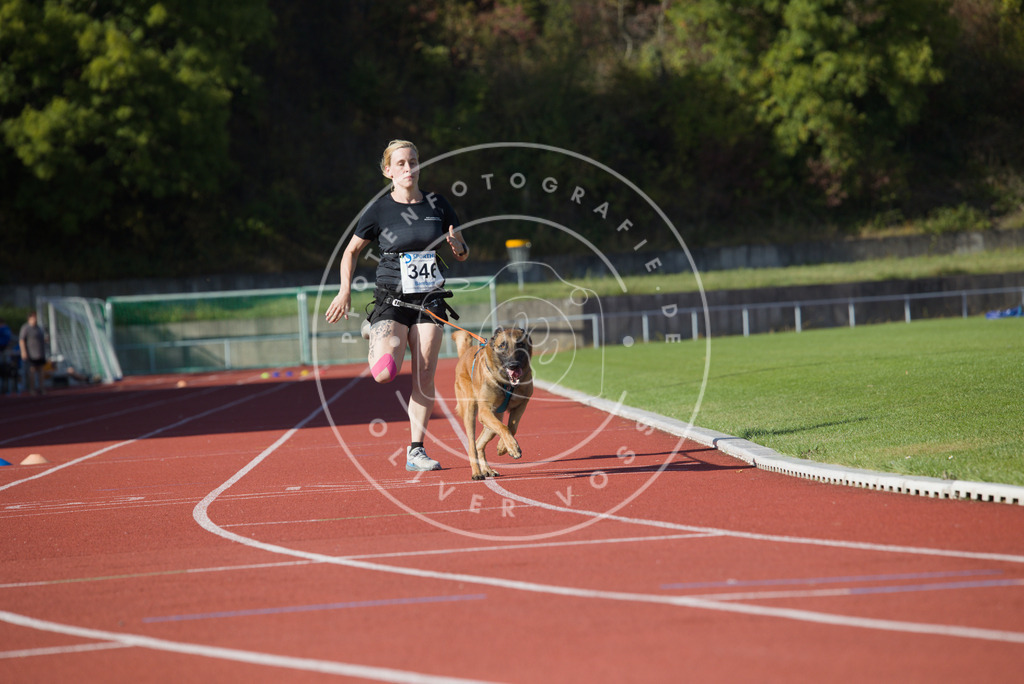0L8A9300 | Hundefotografie, Tierfotograf, Pfotenfotografie, Fotoshooting Hund, Hunde Portrait, Hundesport, Hundeportraits, Heideshooting, Hunde, Sportfotograf, Hundefotograf, Turnierhundsport, THS,  - Realisiert mit Pictrs.com