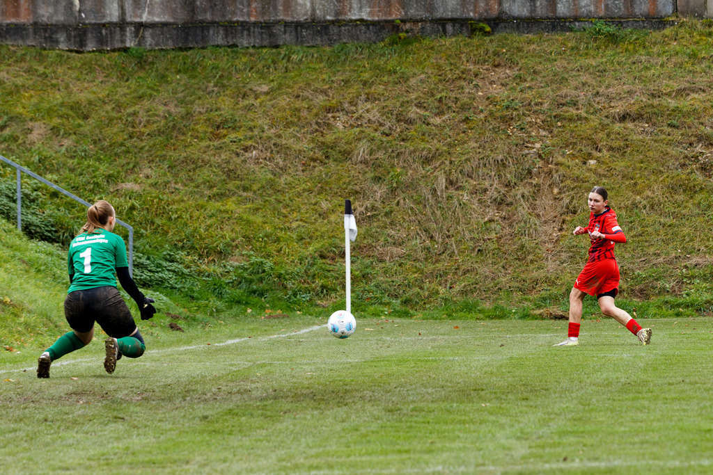 HOHFCH_251109_9016 | 1.FC Heidenheim 1846 II vs. GAST, Fußball, Frauen, Bezirksliga, 2025/2026, X. Spieltag, 03.10.2025 in Heidenheim, Kunstrasen b. Voith-Arena West(Foto: Michael Bulling) - Realisiert mit Pictrs.com