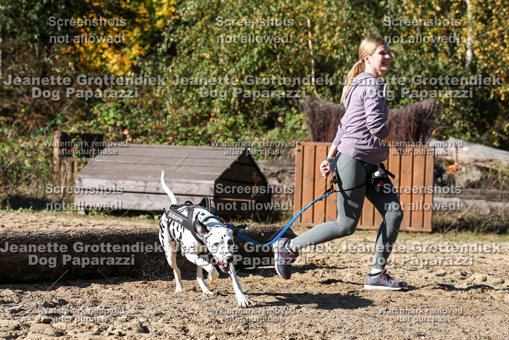 Dog Paparazzi - Strongdog 10-25-2777 | Dog Paparazzi Jeanette Grottendiek Fotografie & Videografie - Realisiert mit Pictrs.com