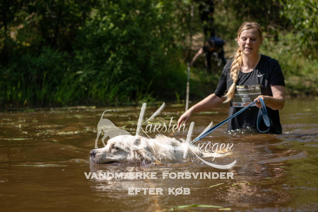 1514DKK992643 | kk-dogfotos