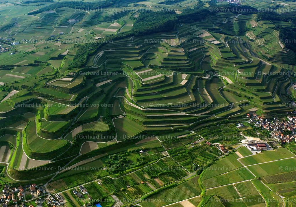 9200352 | Weinbergsterassen zw. Vogtsburg u. Oberbergen, Kaiserstuhl