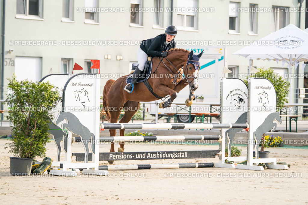 DSC07562 | Pferdegrafie