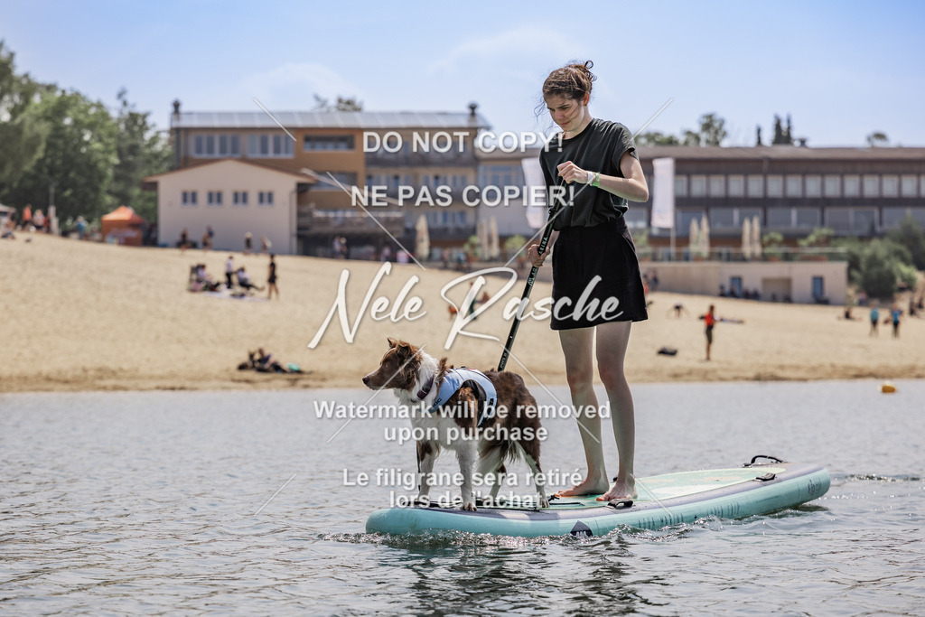 BUHU_SUP_604 | nelerasche