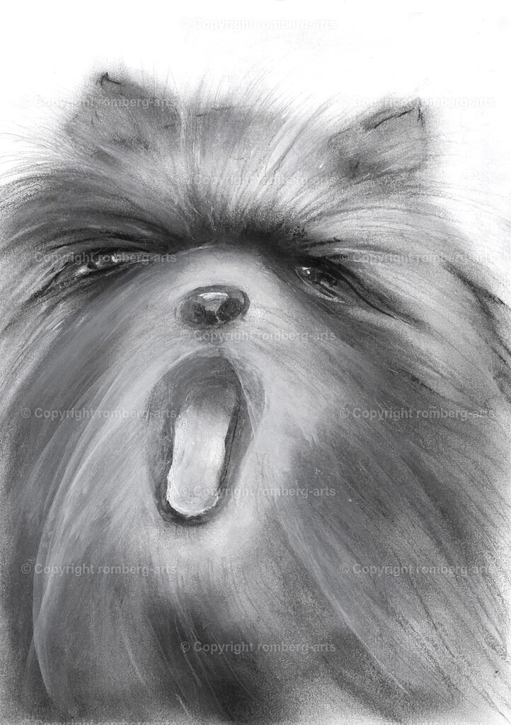 L1020499 (2) | romberg-arts, romberg-arts.de, www.romberg-arts.de, Foto_Online_Shop, Julia Fuhrmann, Köln, Fotos, Fotografie, Fotokunst, Kunstdrucke, Naturfotos, Aktfotos, Nacktfotos, schwarz_weiß_Fotos, Blumenfotos, Blumen, Tiere, Beton, Korrosion, Lächeln, Drucke