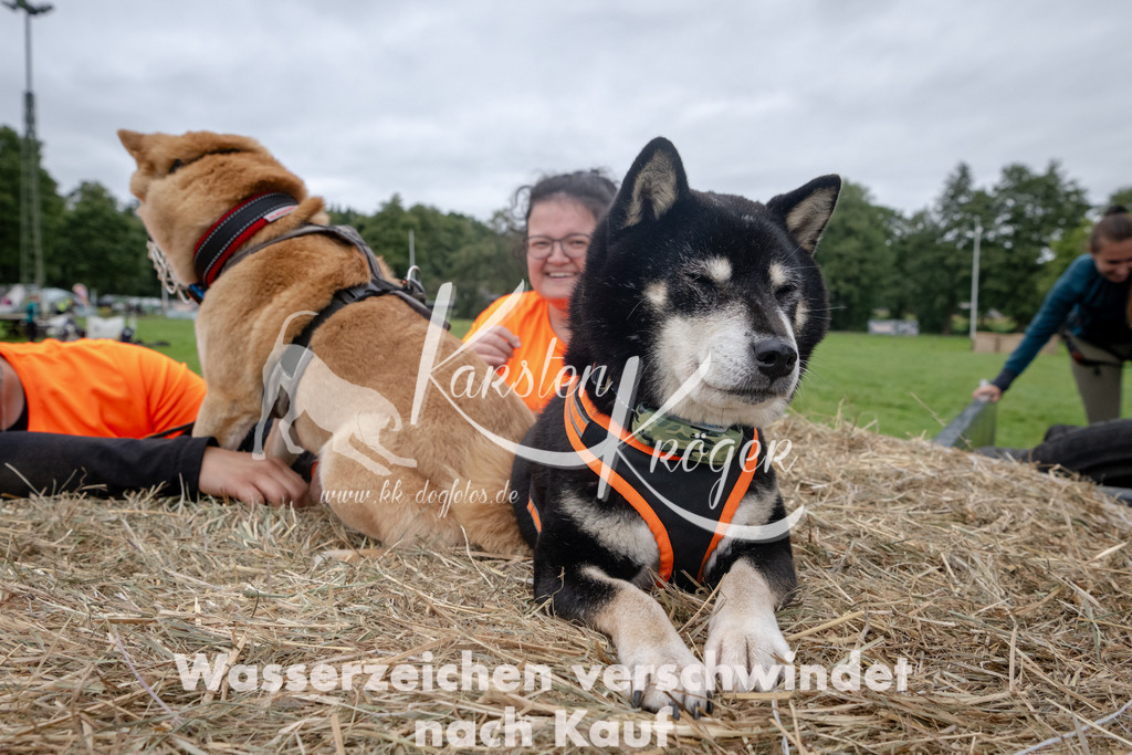 1229_ZZ90838 | kk-dogfotos