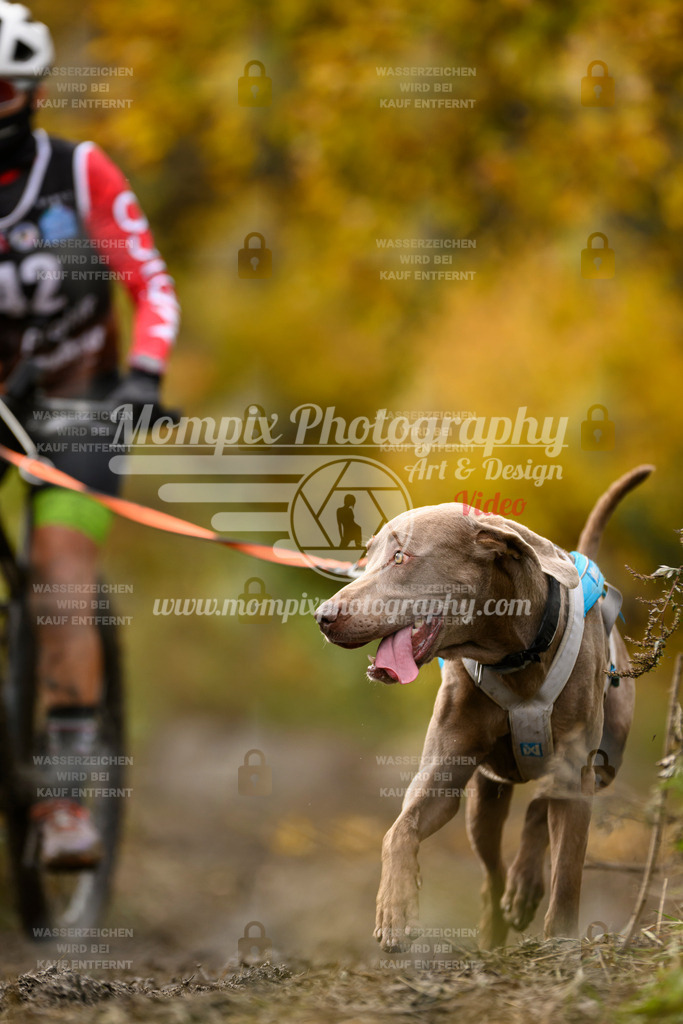 MompixPhotography_ICF_WC_2024_SA_Bike_-170 | PayLife