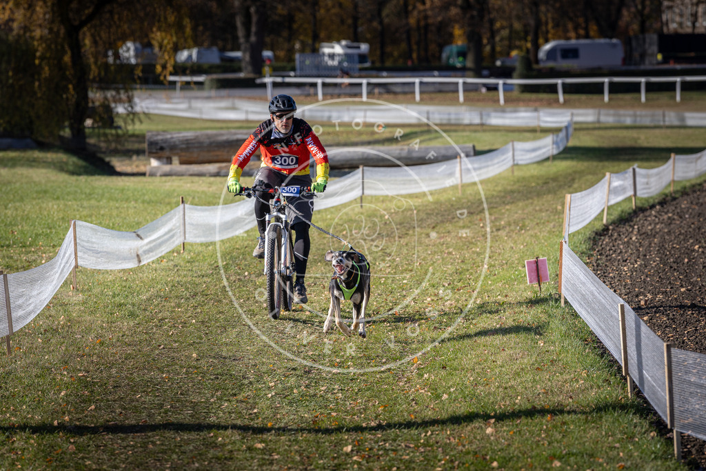 CaniXpix_DV3A6047 | Hundefotografie, Tierfotograf, Pfotenfotografie, Fotoshooting Hund, Hunde Portrait, Hundesport, Hundeportraits, Heideshooting, Hunde, Sportfotograf, Hundefotograf, Turnierhundsport, THS,  - Realisiert mit Pictrs.com