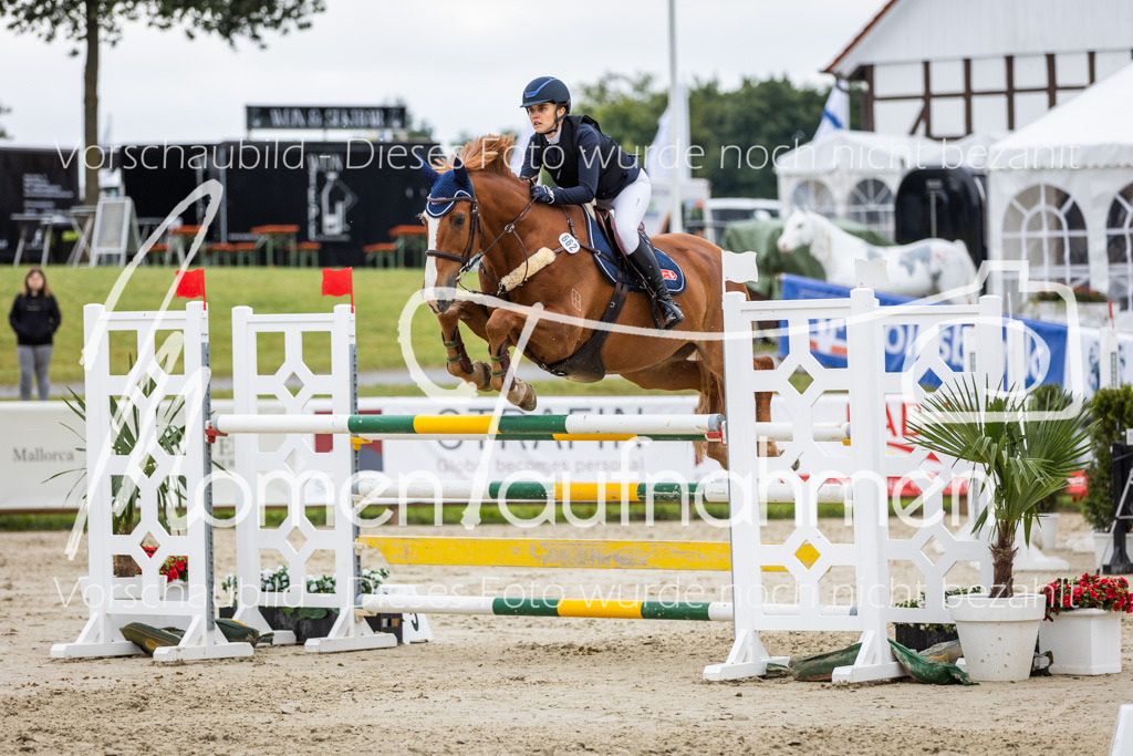 BHO-2PhSpr-M-348 | MomenTaufnahmen Pferdesportfotos