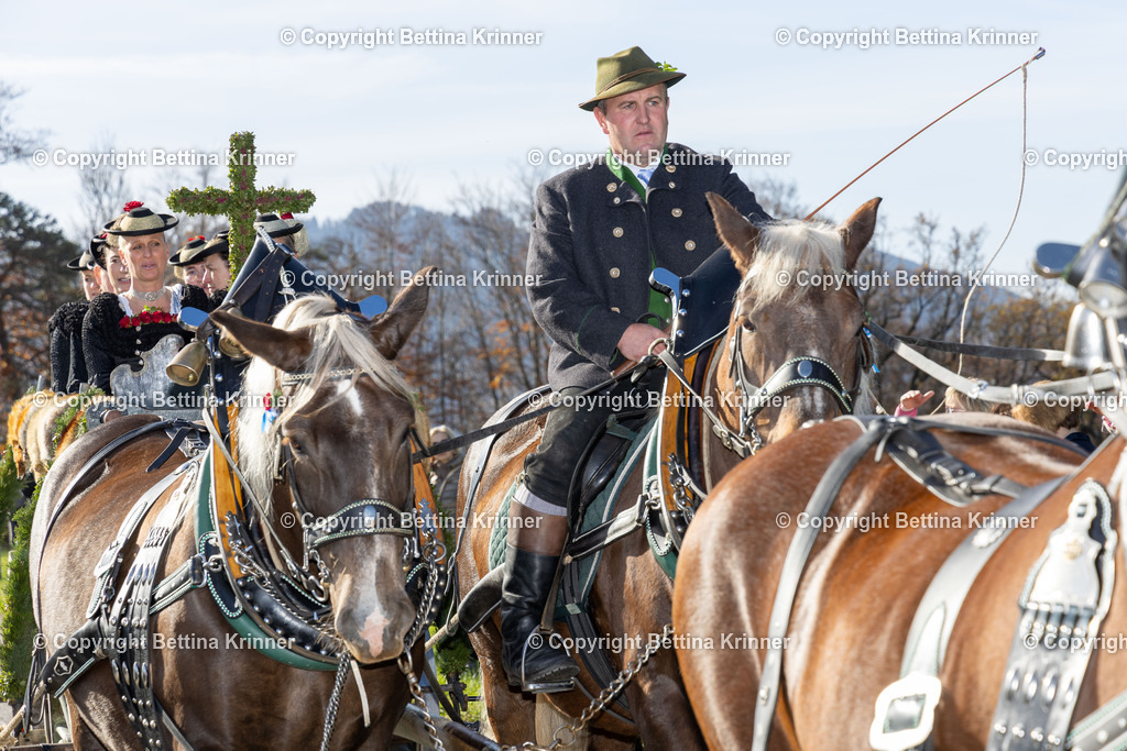 LBT24-1247 | foto-bettina-krinner - Realisiert mit Pictrs.com