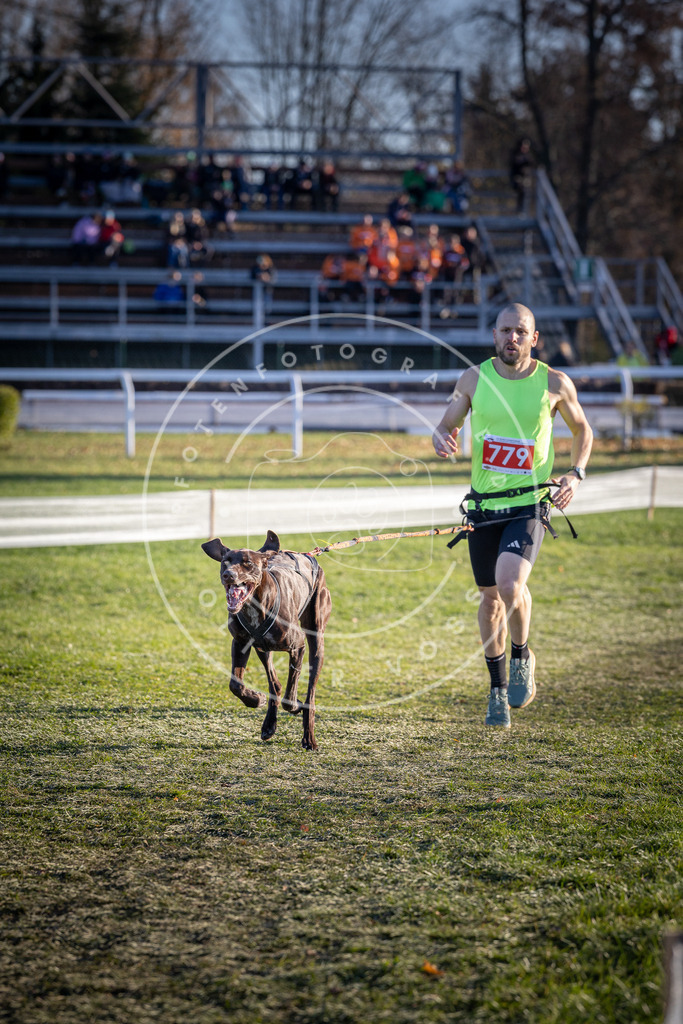 CaniXpix_DV3A2778 | Hundefotografie, Tierfotograf, Pfotenfotografie, Fotoshooting Hund, Hunde Portrait, Hundesport, Hundeportraits, Heideshooting, Hunde, Sportfotograf, Hundefotograf, Turnierhundsport, THS,  - Realisiert mit Pictrs.com